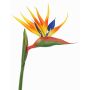Strelizia artificiale LATIFA, arancione-viola, 80cm, 17x20cm