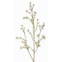 Fiore di cera artificiale NIANG, crema, 80cm, Ø1,5-2,5cm