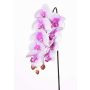 Ramo finto di orchidea Phalaenopsis ENISA, rosa-bianco, 60cm, Ø7-8cm