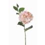 Ortensia finta ASUKA, rosa, 80cm, Ø15cm