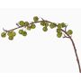 Ramo di melo decorativo BORIAN con frutti, verde, 95cm