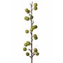 Ramo di melo decorativo BORIAN con frutti, verde, 95cm