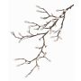 Ramo di magnolia tessile KOTORI, bianco, grigio, 75cm, Ø0,5-1cm