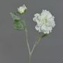 Peonia artificiale MALINE, neve, crema, 60cm, Ø12cm