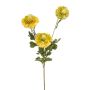 Ramo decorativo Scabiosa caucasica ANAYS, giallo-verde, 80cm