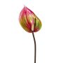 Fiore artificiale "Fiore del fenicottero" GRUNT, verde-rosa, 75 cm