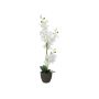 Orchidea Phalaenopsis in tessuto KATALIN, vaso decorativo, bianco, 80 cm