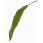 Foglia di cordilinea finta ELARA, verde, 90cm