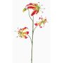 Gloriosa finta TIANA, fucsia-verde, 80cm, Ø8-15cm