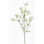 Ramo artificiale di aneto WINCENT con fiori, bianco-verde, 80cm