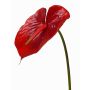Anturio finto MOIRA, rosso, 75cm, 13x20cm