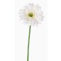 Gerbera finta HELLI, crema, 65cm, Ø12cm