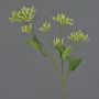 Ramo decorativo di corniolo JOSIA con boccioli, bianco-verde, 50cm