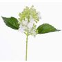 Ortensia finta CHABY, bianco-verde, 30cm, Ø9cm