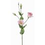 Lisianthus finto JUDIKA, rosa, 70cm, Ø5cm