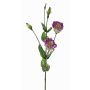 Lisianthus finto JUDIKA, viola-bianco-verde, 70cm, Ø6-7cm