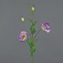 Lisianthus finto JUDIKA, verde-viola, 70cm, Ø5cm