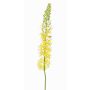 Eremurus in plastica SELINA, giallo, 105cm, Ø9cm