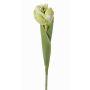 Tulipano finto ROMANA, verde chiaro, 45cm, Ø6cm