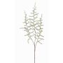 Ramo finto di Asparagus acutifolius JOCHEN, verde, 70cm