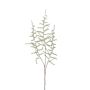Ramo finto di Asparagus acutifolius HANS, verde, 70cm