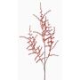 Ramo finto di Asparagus acutifolius JOCHEN, arancione, 70cm