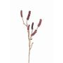 Ramo finto di callistemon HEMES con frutti, rosso scuro, 60cm