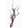 Ramo finto di salice JACE, marrone-rosso, 55cm