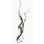 Ramo finto di salice JACE, marrone-grigio, 55cm