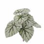 Begonia rex di plastica KATRICE su stelo, verde-grigio, 25cm