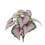Begonia rex di plastica KATRICE su stelo, verde-viola, 25cm