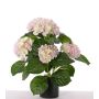 Ortensia finta TEMARI, bianco-rosa, 35cm, Ø10-12cm