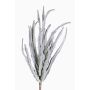 Euphorbia trigona finta REESE su stelo, grigio-verde, 30cm, Ø20cm