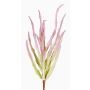 Euphorbia trigona finta REESE su stelo, rosa-verde, 30cm, Ø20cm