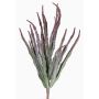 Euphorbia trigona finta REESE su stelo, rosso-verde, 30cm, Ø20cm