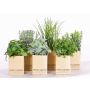 Erbe aromatiche artificiali CHUCK in vaso di carta, 6 pezzi, verde, 15-25cm