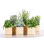 Erbe aromatiche artificiali CHUCK in vaso di carta, 6 pezzi, verde, 15-25 cm