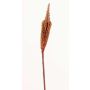 Bulbinella finta TALUNA, marrone-rosso, 65cm, Ø4cm