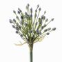 Allium finto KATYNA, blu, 70cm