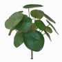 Pianta delle monete finta SYBIL su stelo, verde, 20cm