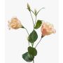 Lisianthus finto JENO, rosa crema, 60cm