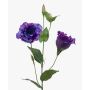Lisianthus finto JENO, viola, 60cm