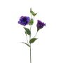 Lisianthus finto JENO, viola, 60cm