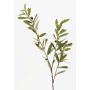 Ramo d'olivo finto PARKER con frutti, 80cm