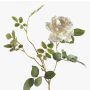 Ramo di rose finte BEATA, crema, 75cm