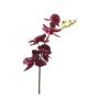 Ramo di orchidea Phalaenopsis di plastica FIDES, bordeaux, 75cm
