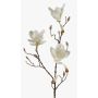 Magnolia decorativa MALVAO, crema, 90cm