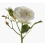 Rosa artificiale CESCA, crema, 40cm
