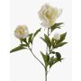 Peonia decorativa MISTI, crema, 70cm