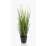 Erba di coda di volpe finta OTIS con pannocchie, verde, 55cm